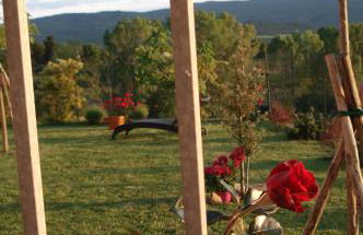 Casa la Pineta - Photo 4