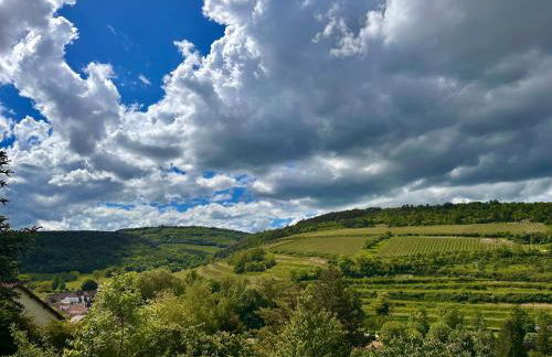 La cabotte du renard - Foto 23