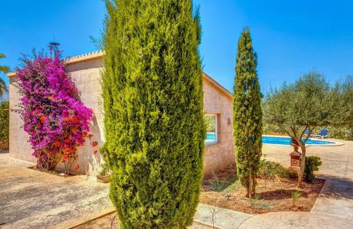 Apartamento Llimonera - Foto 29