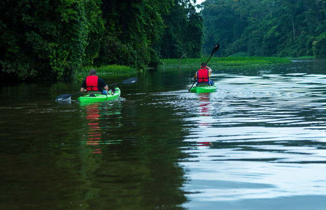 Tour de 2 ou 3 dias pelo Parque Nacional Tortuguero - Foto 6