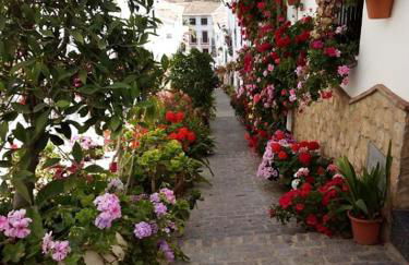 Casa de las Flores - a picture perfect location! - Foto 1