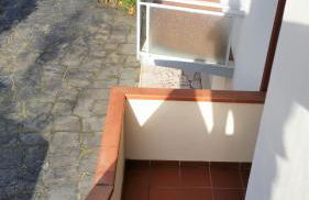 Happy King - Foto 10