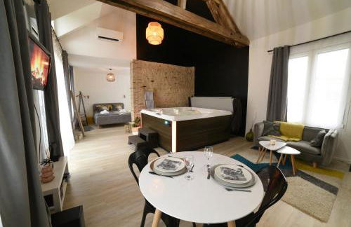 Eaudyssée maison avec SPA privée - Loiret - Photo 16