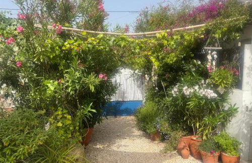 Casa da Aldeia - Foto 4