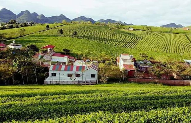 Homestay Lang Che 69 - Foto 14