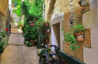 Le repos poitevin Le Floral - Foto 10