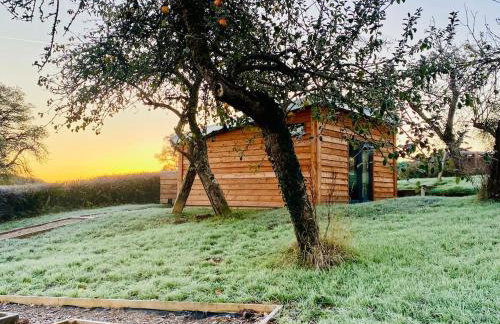 The Apple Shed - cosy cabin nestled in orchard in rural Devon - Foto 7