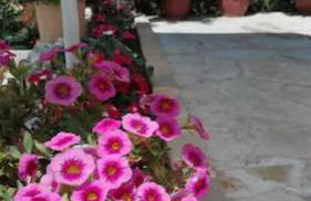 Armonia Apartments - Foto 14