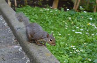 DESIGN DISTRICT- NAVIGLI Mini Appartamento Via Tortona 66 - Foto 15