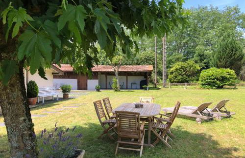 Appartement en pleine nature - Foto 4