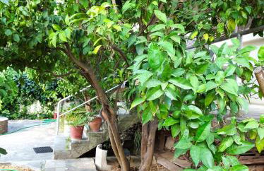 The Lemon House by The Sea - Foto 25