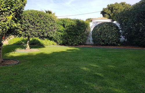 Villa Eira Dos Moinhos - Foto 29