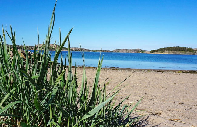 4 Person Holiday Home in Fjallbacka-by Traum - Foto 14