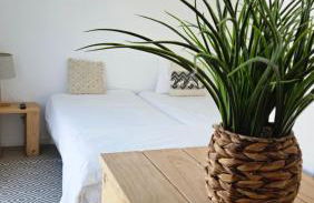 One of a Kind #PDL Luxury Retreat - Photo 12