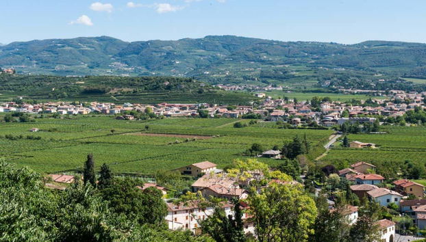 Valpolicella Electric Bike Wine Tour - Foto 2