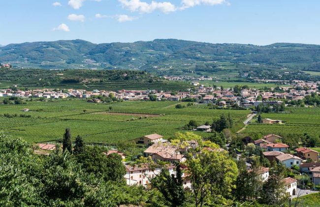 Tour del vino en bicicleta eléctrica por Valpolicella - Foto 2