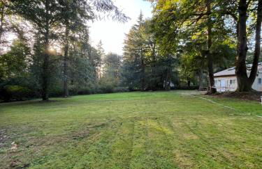 Whispering Pines Farmhouse - Foto 32