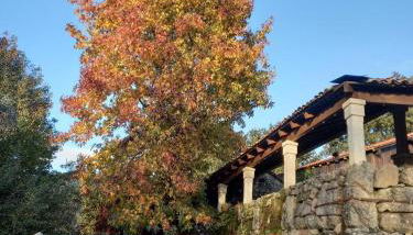 Veiga Mariña - Foto 3