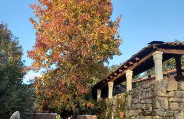 Veiga Mariña - Foto 3