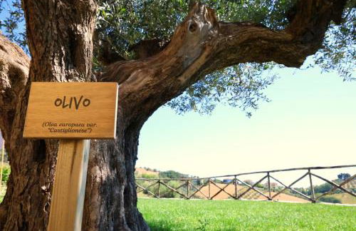 Terra di Ea - Foto 38