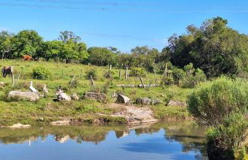 Rancho Bela Vista - o seu recanto em Pelotas - Foto 56