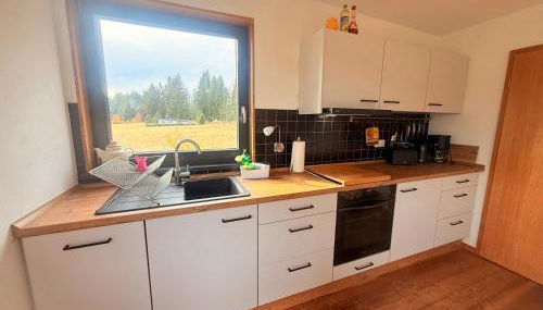 Tiny Chalet Stuga Am Rennsteig mit Kamin und Garten, Hunde Willkommen - Foto 3, dishwasher