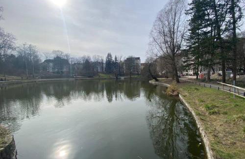 Lake Side Park/Historic/BER/THF - Foto 29