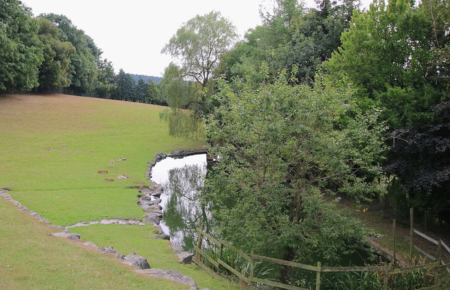 Great Holiday Home in Bastogne With Sauna - Foto 76