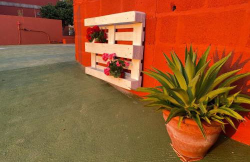 Casa Palmiras - Foto 25