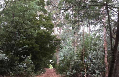 Moradia próxima da praia do Areinho, na Ria, e praia dos Marretas - Foto 8