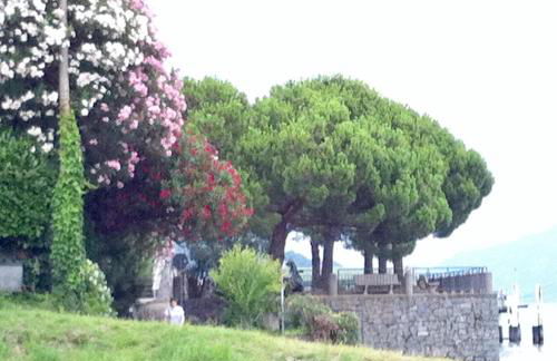 Lake View Apartments - Foto 15