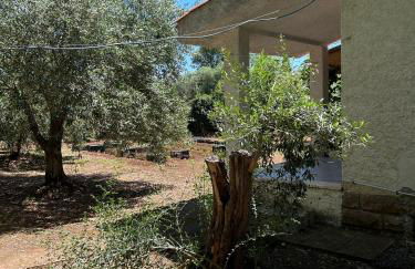 Domo Austinu - Abbasanta - Foto 22