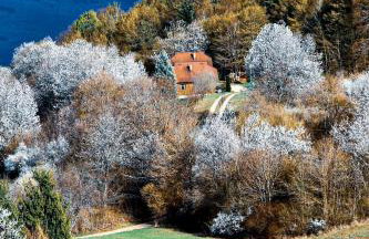 House Forest with HOT TUB - Foto 22