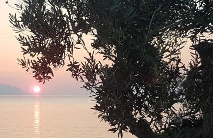 Apartman Talija - Foto 20