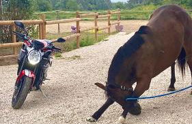 Gite Provençal du Mas Arnaud - Foto 30