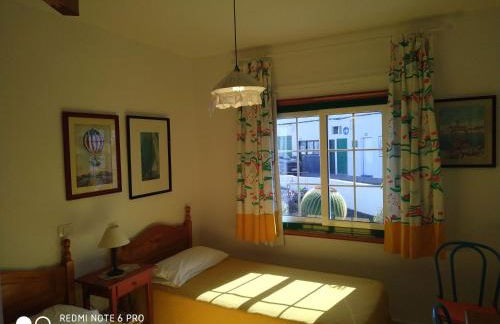 Caracola azul - Foto 19