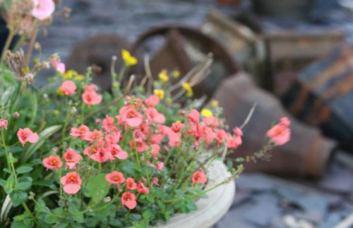 Modern Barn Conversion - Photo 38