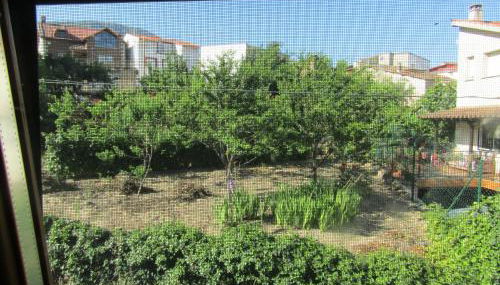 Casas Rurales La Dehesa - Foto 3