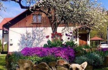 Kaczmarówka - Foto 1