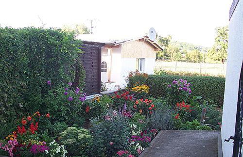 FeWo Ruppel - Foto 7