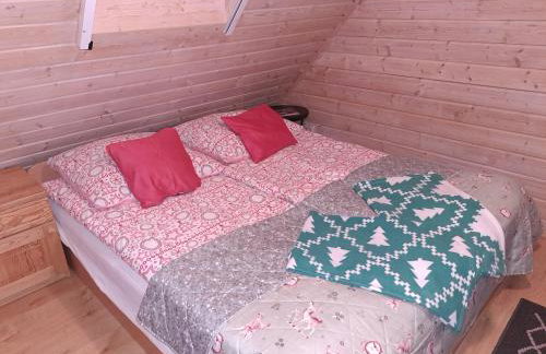 Domki Borowiackie nad brzegiem jeziora - Foto 33