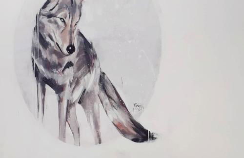 Casa Ocean - Foto 40