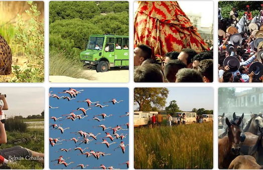 Ardea Purpurea Lodge - Photo 39