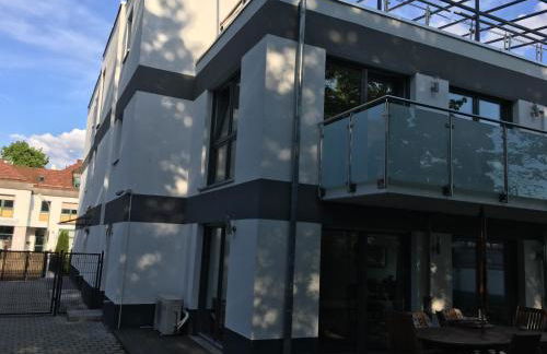 Sahara Falcon - Photo 62