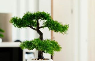 New luxury apartment Nives on seaside - Photo 19