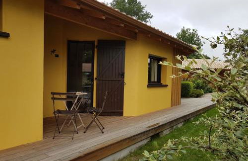 Salamandre et Hippocampe - Foto 33