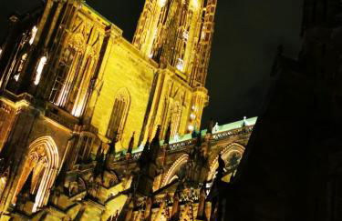 grand loft avec patio proche des quais Strasbourg - Foto 34