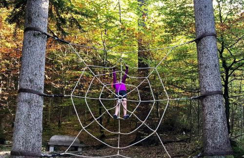 King Ludwig's Old Neighbour - Foto 38