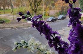 ELENA flat Orchidee Duisburg Zentrum - Photo 7