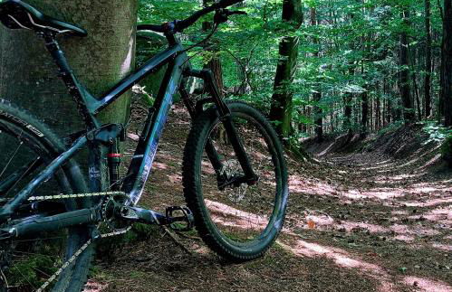 Ferienwohnung Eichkatzel - Foto 56